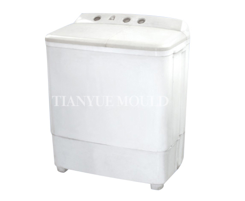 Washing Machine Mould