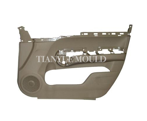 Auto Door Mould