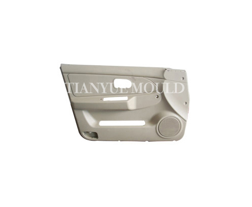 Auto Door Mould