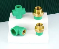 PPR Pipe Fitting Mould