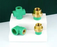PPR Pipe Fitting Mould