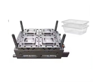 Thin-wall Mould