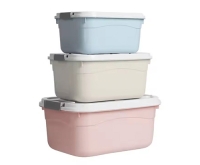 Storage Box Mould