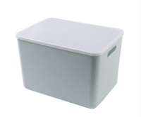 Storage Box Mould
