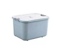 Storage Box Mould
